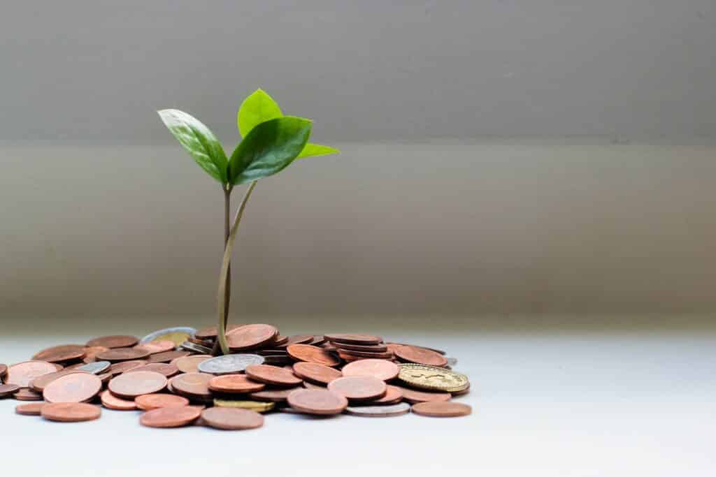 plant growing out of coins-in-house dental plan